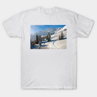 Courchevel 3 Valleys French Alps France T-Shirt